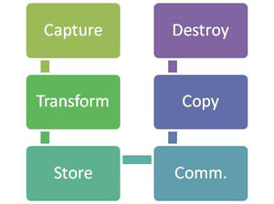 Lifecycle